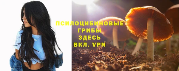 кристаллы Заводоуковск