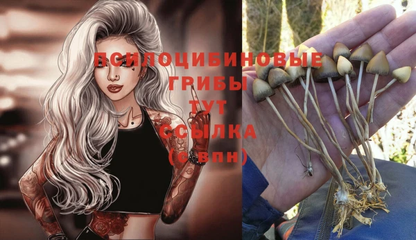 амфетамин Заволжье